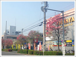 ＴＳＵＴＡＹＡ　JR東所沢駅前店